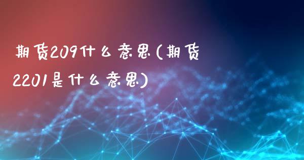 期货209什么意思(期货2201是什么意思)_https://www.zztgc.com_原油期货_第1张