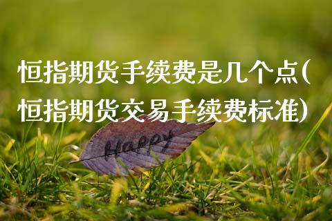 恒指期货手续费是几个点(恒指期货交易手续费标准)_https://www.zztgc.com_原油期货_第1张