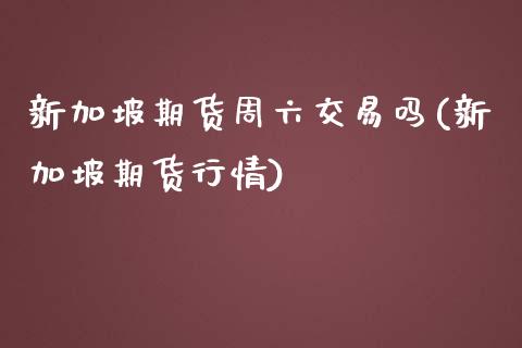 新加坡期货周六交易吗(新加坡期货行情)_https://www.zztgc.com_期货开户_第1张