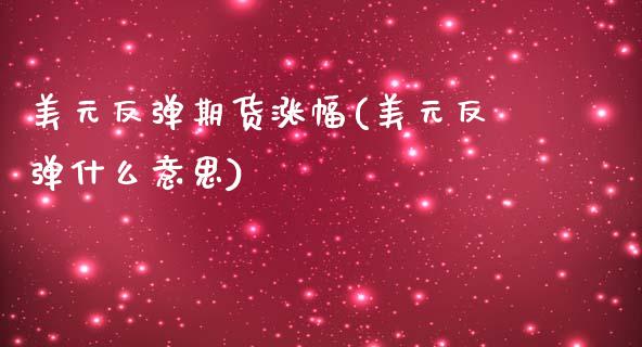 美元反弹期货涨幅(美元反弹什么意思)_https://www.zztgc.com_期货直播_第1张