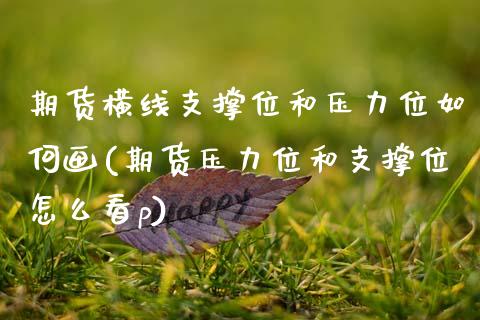 期货横线支撑位和压力位如何画(期货压力位和支撑位怎么看p)_https://www.zztgc.com_期货行情_第1张