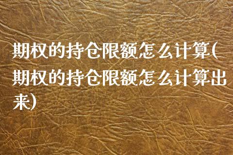 期权的持仓限额怎么计算(期权的持仓限额怎么计算出来)_https://www.zztgc.com_黄金期货_第1张