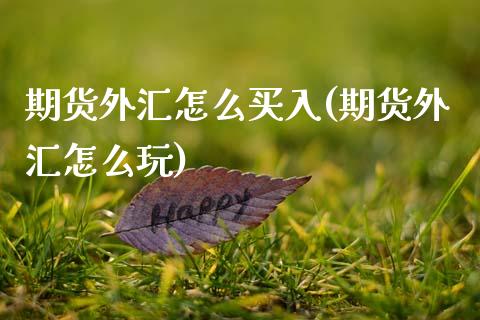 期货外汇怎么买入(期货外汇怎么玩)_https://www.zztgc.com_期货行情_第1张