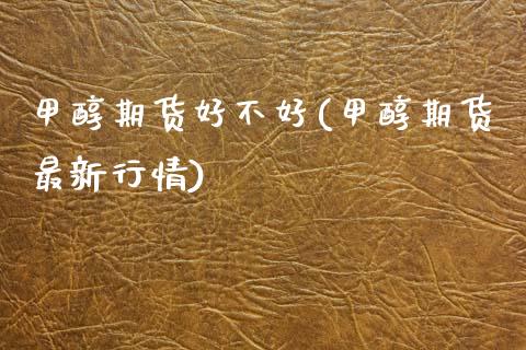 甲醇期货好不好(甲醇期货最新行情)_https://www.zztgc.com_期货行情_第1张