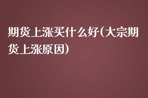 期货上涨买什么好(大宗期货上涨原因)_https://www.zztgc.com_原油期货_第1张