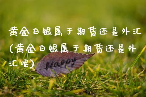 黄金白银属于期货还是外汇(黄金白银属于期货还是外汇呢)_https://www.zztgc.com_黄金期货_第1张