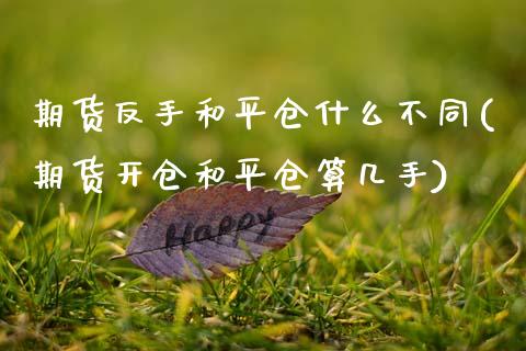 期货反手和平仓什么不同(期货开仓和平仓算几手)_https://www.zztgc.com_期货直播_第1张