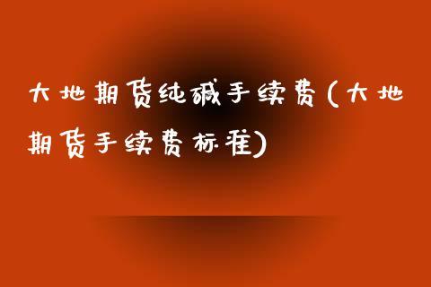 大地期货纯碱手续费(大地期货手续费标准)_https://www.zztgc.com_期货直播_第1张