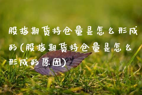 股指期货持仓量是怎么形成的(股指期货持仓量是怎么形成的原因)_https://www.zztgc.com_黄金期货_第1张