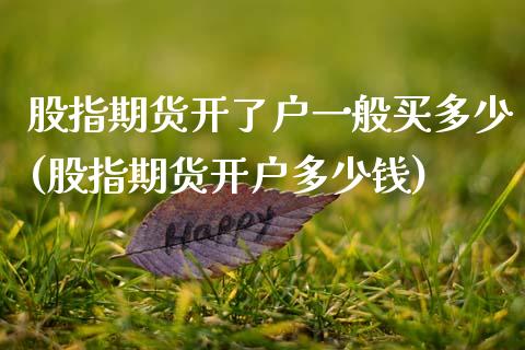 股指期货开了户一般买多少(股指期货开户多少钱)_https://www.zztgc.com_期货直播_第1张