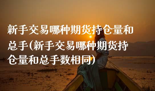 新手交易哪种期货持仓量和总手(新手交易哪种期货持仓量和总手数相同)_https://www.zztgc.com_期货入门_第1张