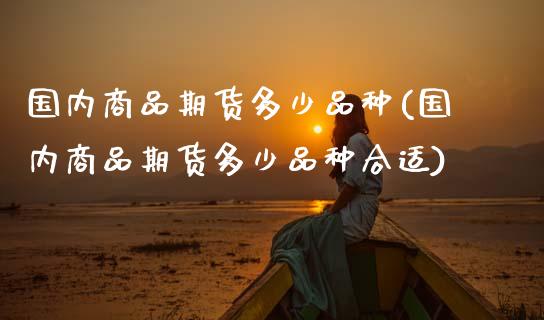 国内商品期货多少品种(国内商品期货多少品种合适)_https://www.zztgc.com_原油期货_第1张