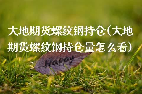 大地期货螺纹钢持仓(大地期货螺纹钢持仓量怎么看)_https://www.zztgc.com_期货直播_第1张