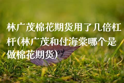 林广茂棉花期货用了几倍杠杆(林广茂和付海棠哪个是做棉花期货)_https://www.zztgc.com_期货行情_第1张