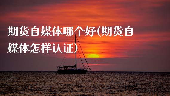 期货自媒体哪个好(期货自媒体怎样认证)_https://www.zztgc.com_期货行情_第1张