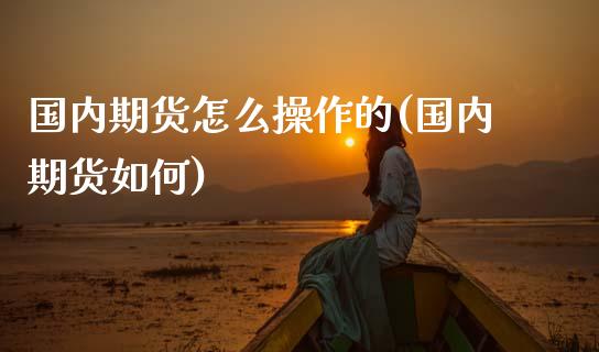 国内期货怎么操作的(国内期货如何)_https://www.zztgc.com_原油期货_第1张