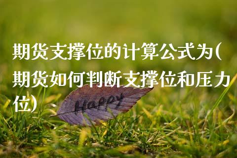 期货支撑位的计算公式为(期货如何判断支撑位和压力位)_https://www.zztgc.com_期货入门_第1张