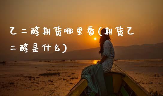 乙二醇期货哪里看(期货乙二醇是什么)_https://www.zztgc.com_期货入门_第1张