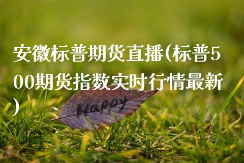 安徽标普期货直播(标普500期货指数实时行情最新)_https://www.zztgc.com_黄金期货_第1张