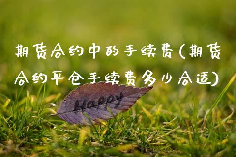 期货合约中的手续费(期货合约平仓手续费多少合适)_https://www.zztgc.com_原油期货_第1张