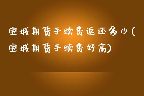 宝城期货手续费返还多少(宝城期货手续费好高)_https://www.zztgc.com_期货入门_第1张