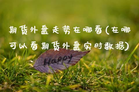 期货外盘走势在哪看(在哪可以看期货外盘实时数据)_https://www.zztgc.com_期货入门_第1张