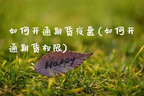 如何开通期货夜盘(如何开通期货权限)_https://www.zztgc.com_黄金期货_第1张