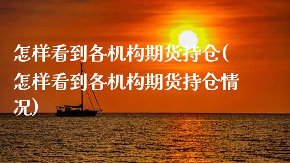 怎样看到各机构期货持仓(怎样看到各机构期货持仓情况)_https://www.zztgc.com_期货行情_第1张
