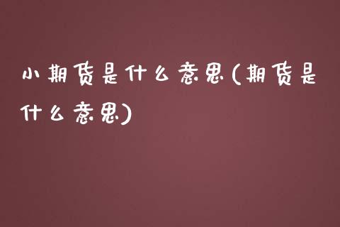 小期货是什么意思(期货是什么意思)_https://www.zztgc.com_原油期货_第1张