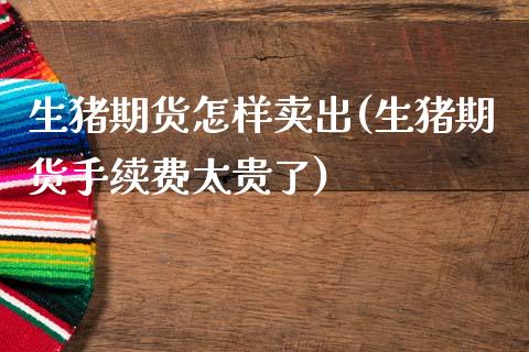 生猪期货怎样卖出(生猪期货手续费太贵了)_https://www.zztgc.com_期货入门_第1张