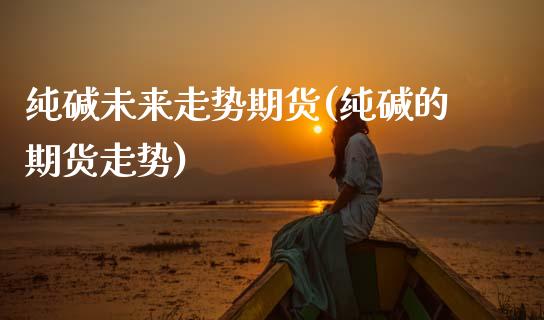纯碱未来走势期货(纯碱的期货走势)_https://www.zztgc.com_黄金期货_第1张