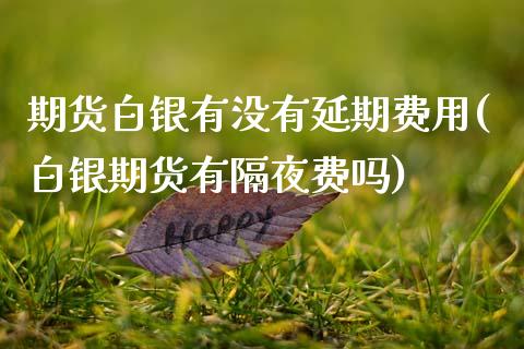 期货白银有没有延期费用(白银期货有隔夜费吗)_https://www.zztgc.com_黄金期货_第1张