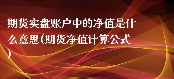期货实盘账户中的净值是什么意思(期货净值计算公式)_https://www.zztgc.com_期货行情_第1张