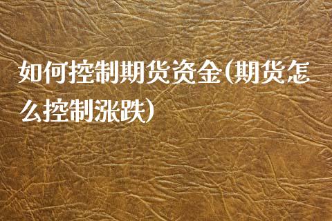 如何控制期货资金(期货怎么控制涨跌)_https://www.zztgc.com_原油期货_第1张