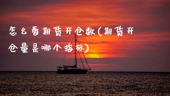 怎么看期货开仓数(期货开仓量是哪个指标)_https://www.zztgc.com_期货直播_第1张