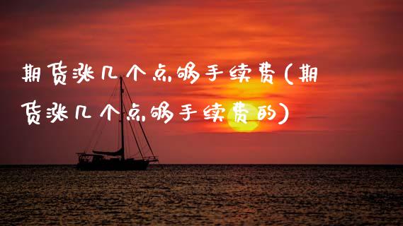 期货涨几个点够手续费(期货涨几个点够手续费的)_https://www.zztgc.com_期货入门_第1张