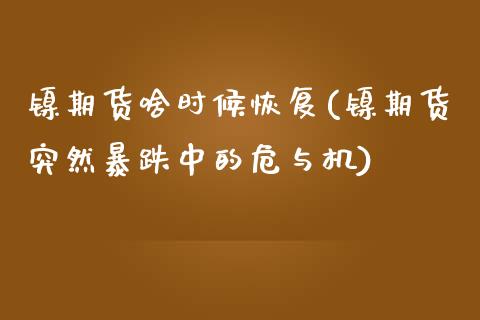 镍期货啥时候恢复(镍期货突然暴跌中的危与机)_https://www.zztgc.com_期货入门_第1张