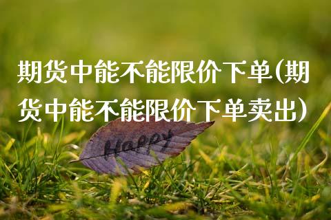 期货中能不能限价下单(期货中能不能限价下单卖出)_https://www.zztgc.com_期货开户_第1张
