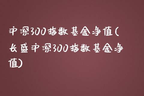 沪深300指数基金净值(长盛沪深300指数基金净值)_https://www.zztgc.com_原油期货_第1张