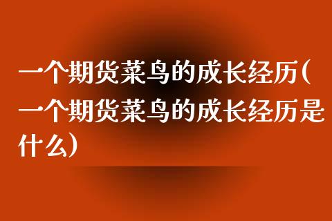 一个期货菜鸟的成长经历(一个期货菜鸟的成长经历是什么)_https://www.zztgc.com_期货行情_第1张