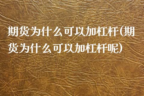 期货为什么可以加杠杆(期货为什么可以加杠杆呢)_https://www.zztgc.com_期货行情_第1张