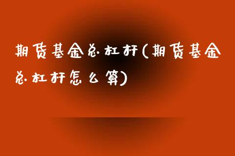 期货基金总杠杆(期货基金总杠杆怎么算)_https://www.zztgc.com_原油期货_第1张