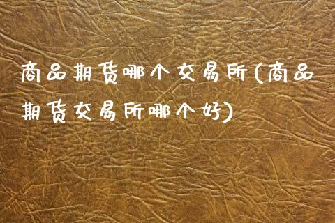 商品期货哪个交易所(商品期货交易所哪个好)_https://www.zztgc.com_期货直播_第1张