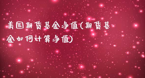 美国期货基金净值(期货基金如何计算净值)_https://www.zztgc.com_期货直播_第1张
