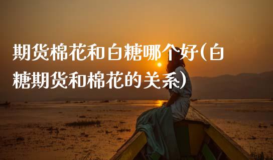 期货棉花和白糖哪个好(白糖期货和棉花的关系)_https://www.zztgc.com_期货入门_第1张