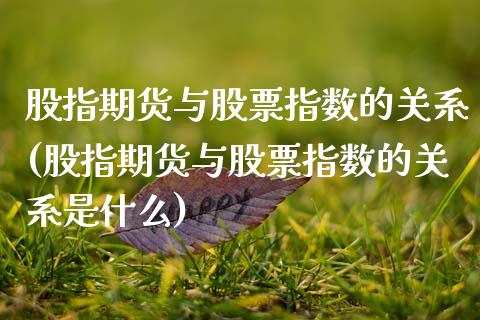 股指期货与股票指数的关系(股指期货与股票指数的关系是什么)_https://www.zztgc.com_原油期货_第1张