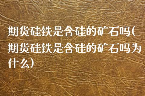 期货硅铁是含硅的矿石吗(期货硅铁是含硅的矿石吗为什么)_https://www.zztgc.com_黄金期货_第1张