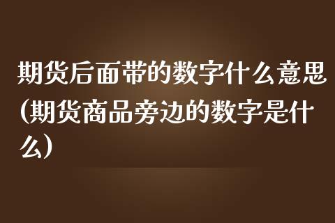 期货后面带的数字什么意思(期货商品旁边的数字是什么)_https://www.zztgc.com_期货开户_第1张
