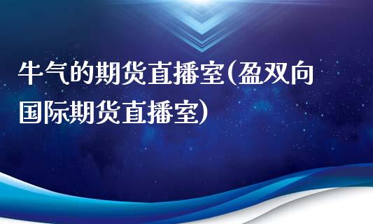 牛气的期货直播室(盈双向国际期货直播室)_https://www.zztgc.com_期货行情_第1张