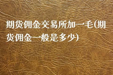 期货佣金交易所加一毛(期货佣金一般是多少)_https://www.zztgc.com_期货直播_第1张